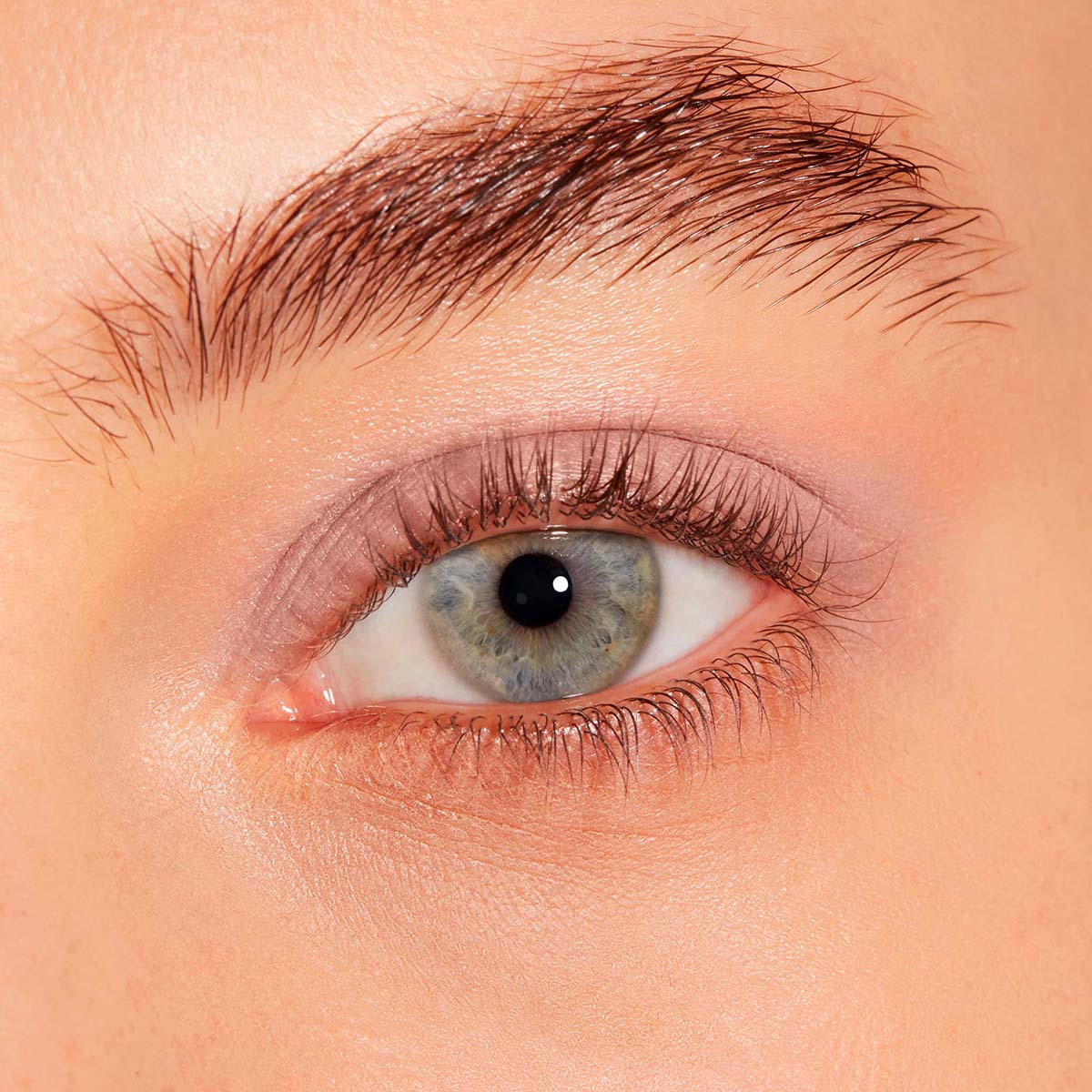 CHIC MONO EYESHADOW MATTE (SOMBRA DE OJOS MATE)